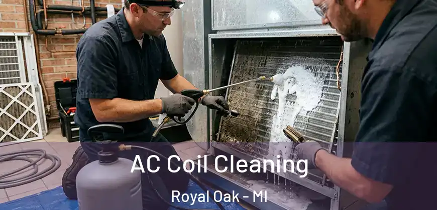  AC Coil Cleaning Royal Oak - MI