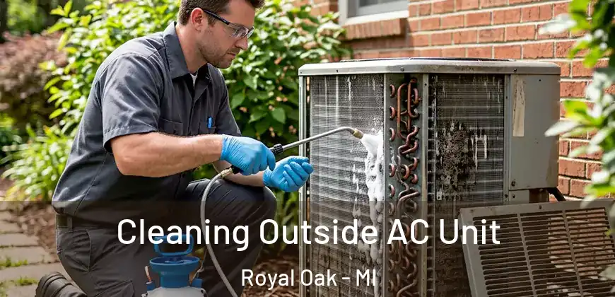  Cleaning Outside AC Unit Royal Oak - MI