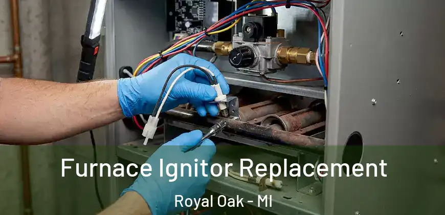  Furnace Ignitor Replacement Royal Oak - MI